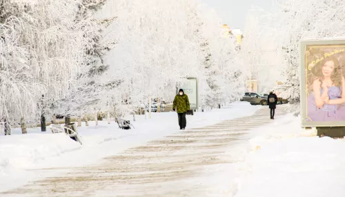 В Алтайском крае 4 февраля потеплеет до -7 градусов и подует южный ветер