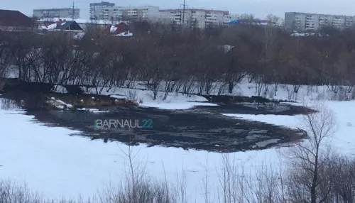 Прокуратура займется загрязнением канализационными стоками озера в Барнауле