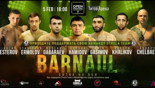 Барнаульский боец победил в своем первом бою на турнире ММА
