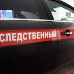Следком проверяет историю с похищением ребенка в Барнауле