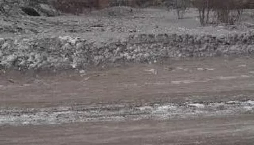Жители Бийска жалуются на черный снег из-за местного предприятия