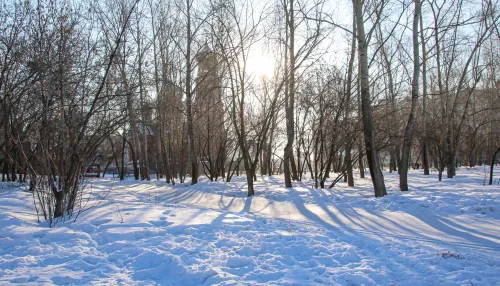 Прошедшая зима в Алтайском крае стала одной из самых теплых