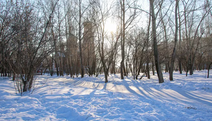 Плюсовые температуры придут в Алтайский край в ближайшие дни