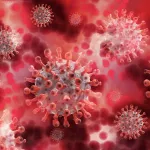 Ученые обнаружили новый вариант коронавируса – им можно заразиться от животного