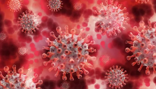 В России обнаружили два новых варианта коронавируса