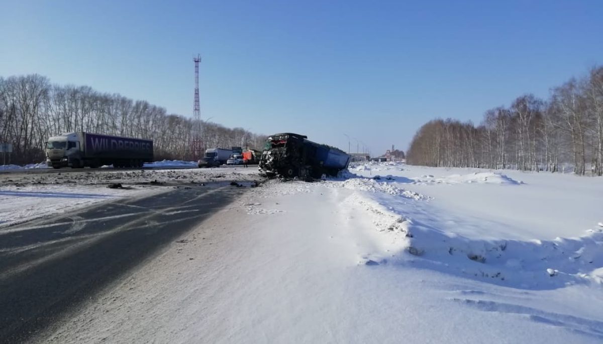 Под Новосибирском Фото