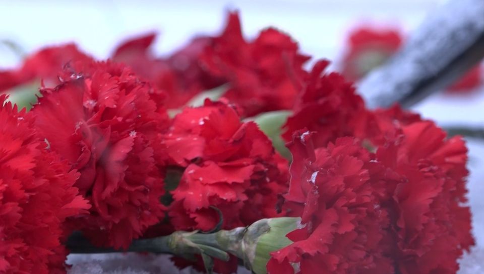 Цветы. Гвоздки. Память.