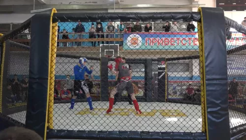 В Барнауле состоялся краевой чемпионат и первенство по ММА