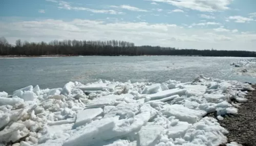 В Бийске спрогнозировали, когда начнется ледоход на реке Бии