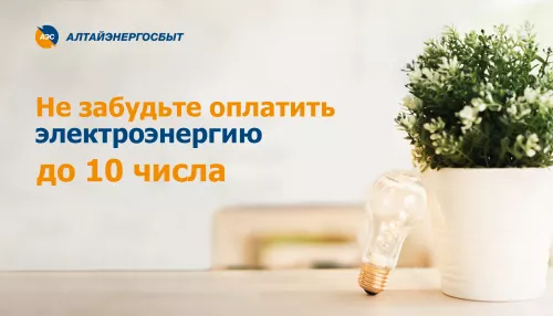 Алтайэнергосбыт предлагает простые способы оплатить счета за свет