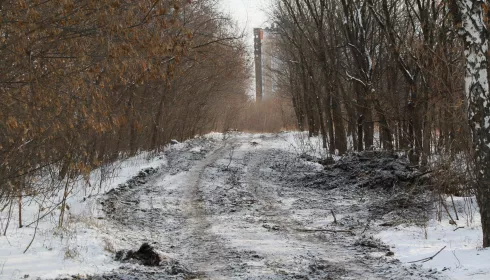 Что нам стоит стадион построить. Почему возникли споры из-за возведения спортобъекта в барнаульском парке