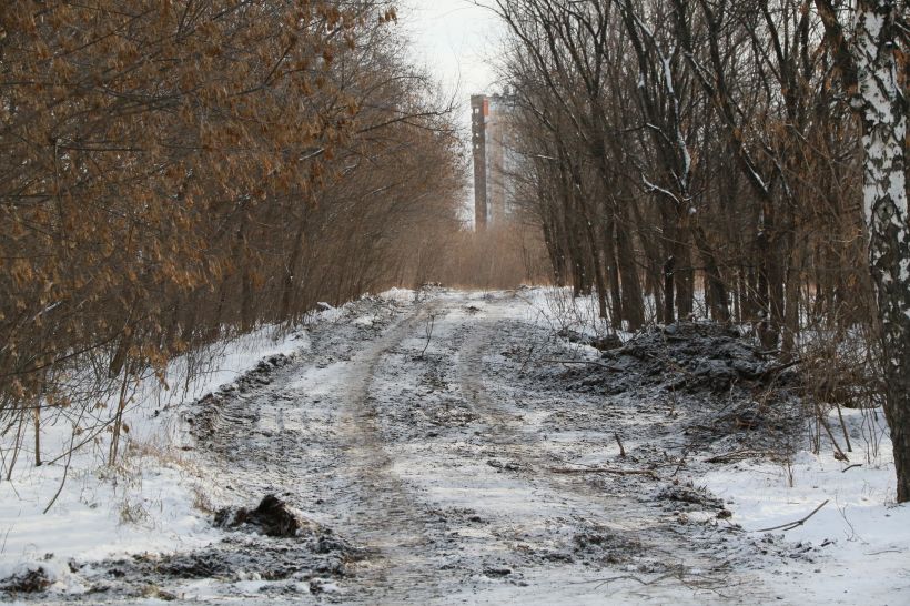 Парк имени Ленина Фото:Олег Укладов