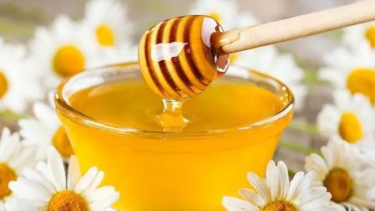 Бешеный мед. Мёд разнотравье. Пчелиный мёд. Мёд цветочный. Мед и цветы.
