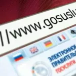 В интернет-переписи населения в России приняли участие 450 тысяч человек