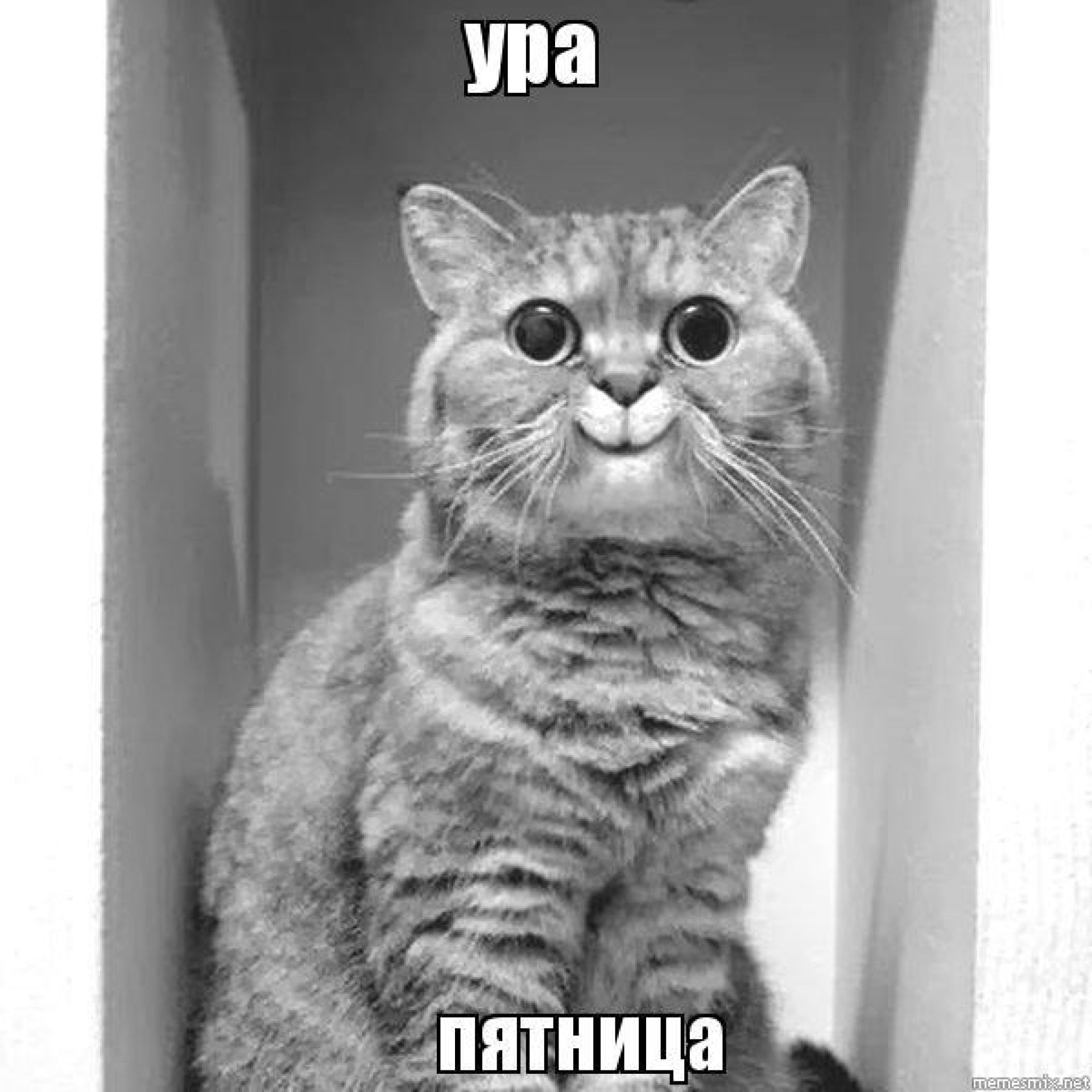 Ну Покажи Фото