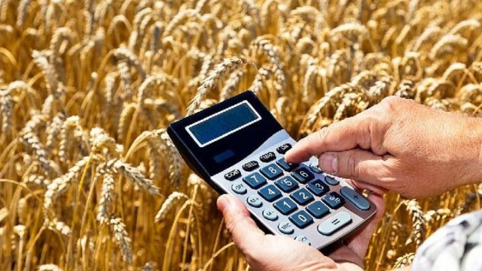 ВТБ предоставил более 50 млрд рублей льготных кредитов сельхозпредприятиям среднего бизнеса