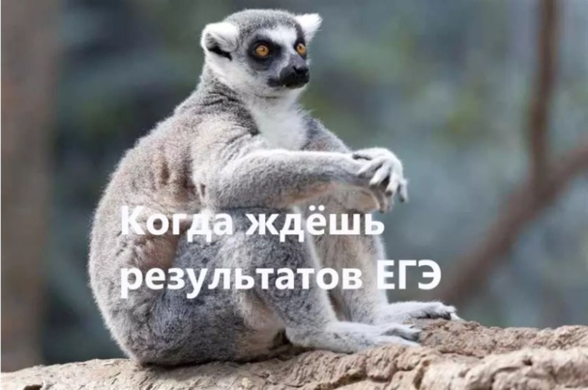 Фото Есть Ну