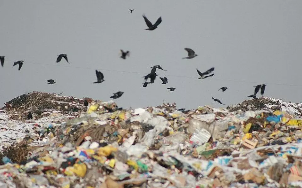 На месте будущих комплексов переработки мусора в крае провели инженерные изыскания