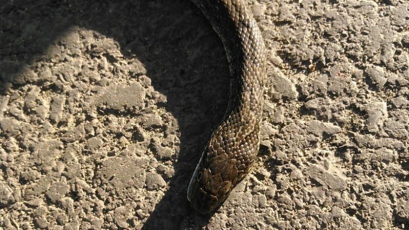  Фото:vk.com/incident_22