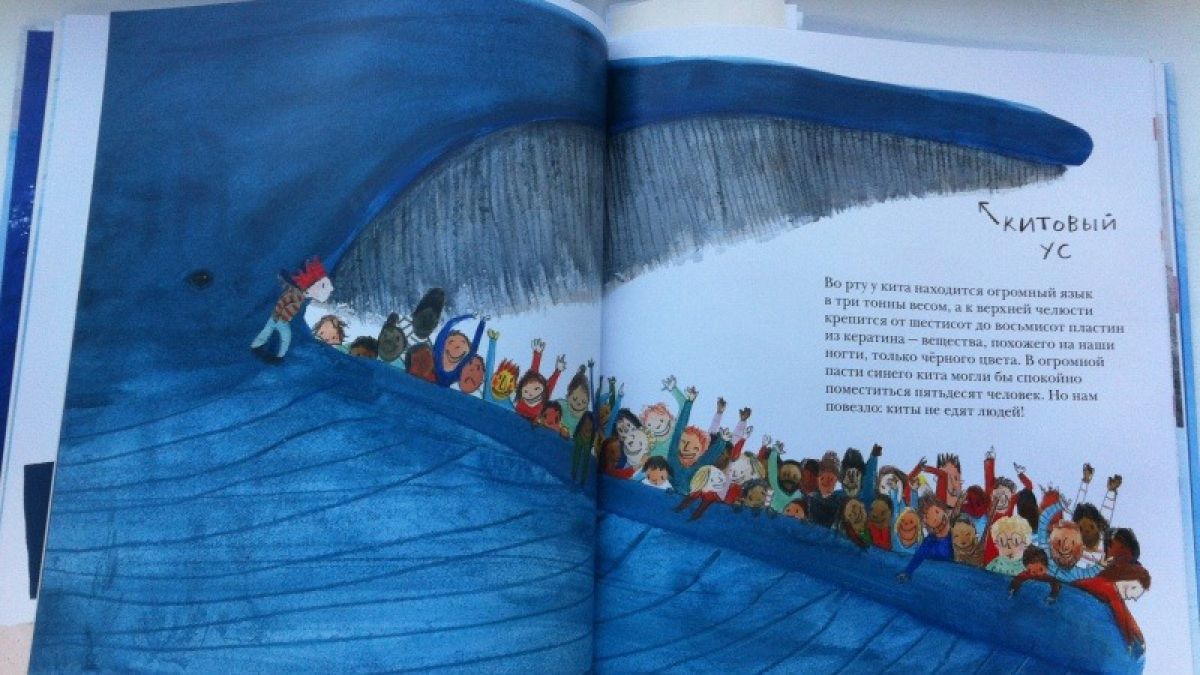 Печень кита. Дженни Десмонд «синий кит». Иллюстрации из книги синий кит Десмонд. Синий кит книга. Детские книги про китов.