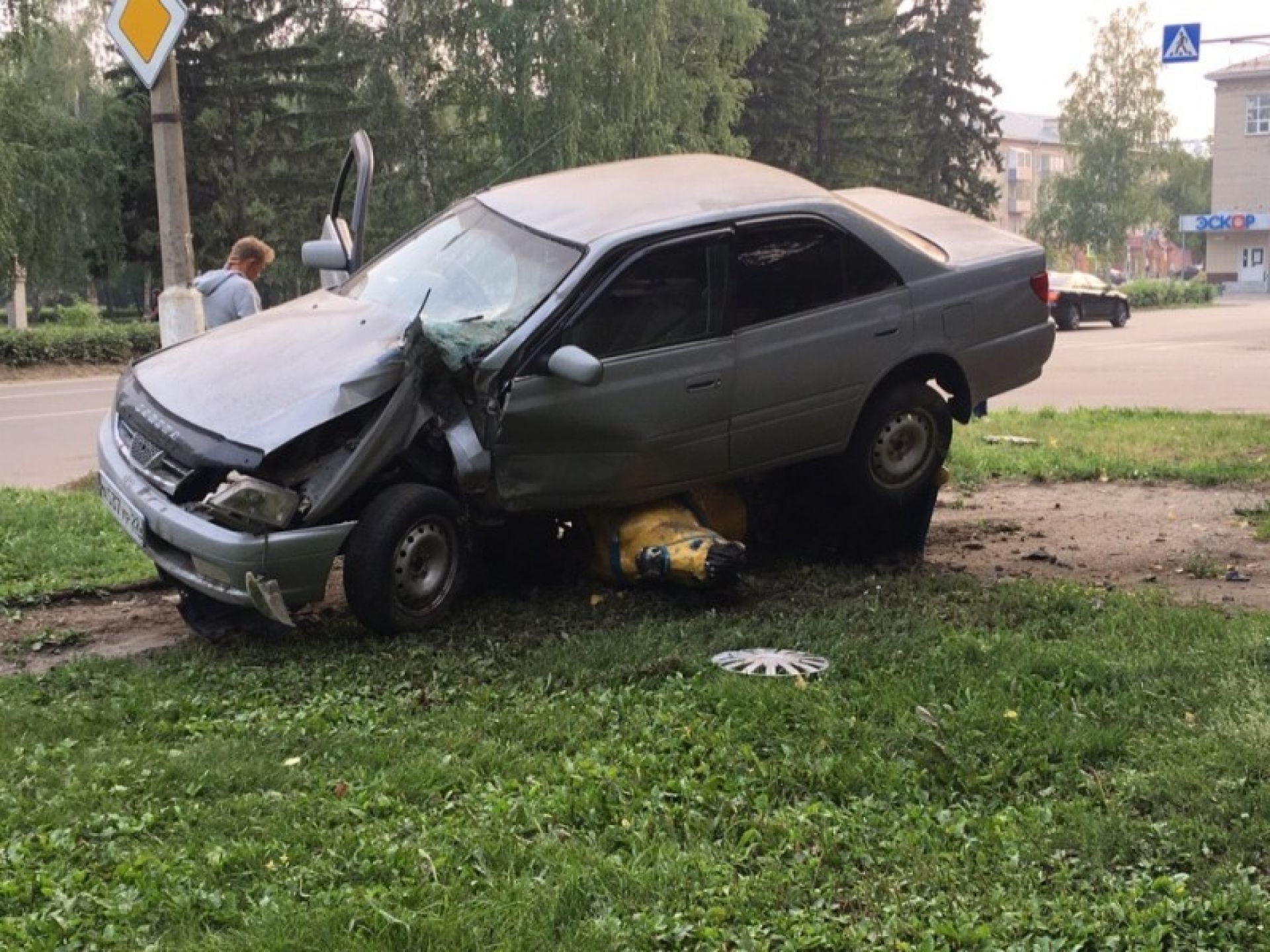 В Барнауле авто протаранило скульптуру лошади из-за ДТП - Толк 27.07.2019