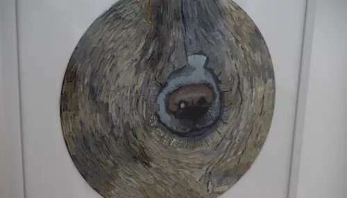 Барнаульцев приглашают на выставку картин на виниле от Радио ENERGY