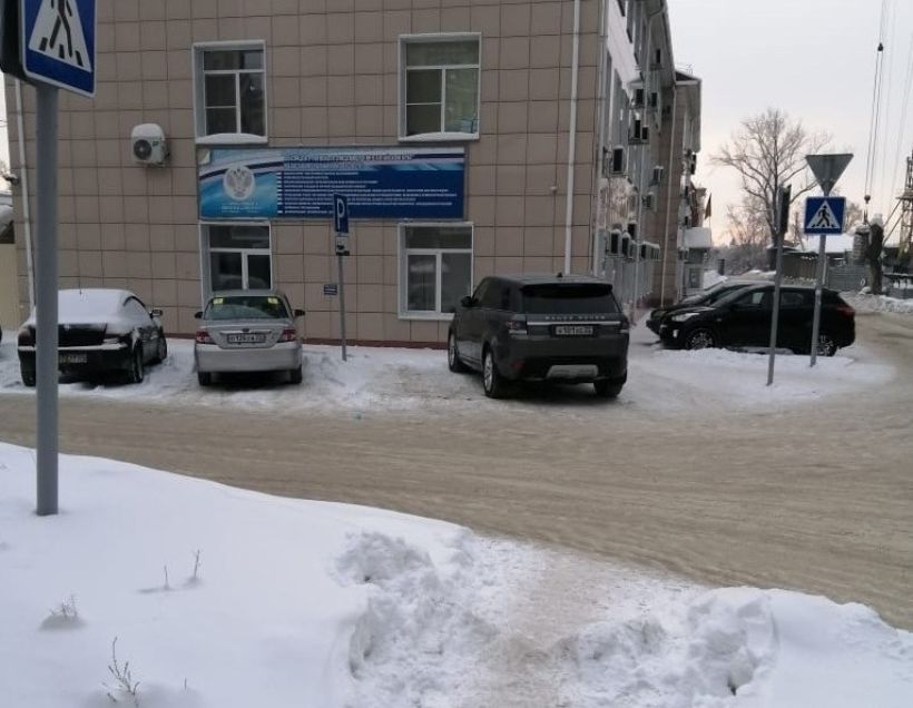 Снег в Барнауле  Фото:фото: onf.ru