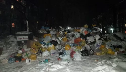 Власти Бийска объяснили причину мусорного «коллапса» в городе