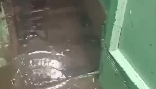 Огромная лужа затопила подъезд дома в Барнауле. Видео