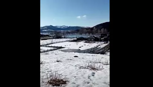 Алтайское село топит из-за гигантского затора льда на Ануе