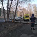 Упавшее дерево насмерть придавило мужчину в Барнауле