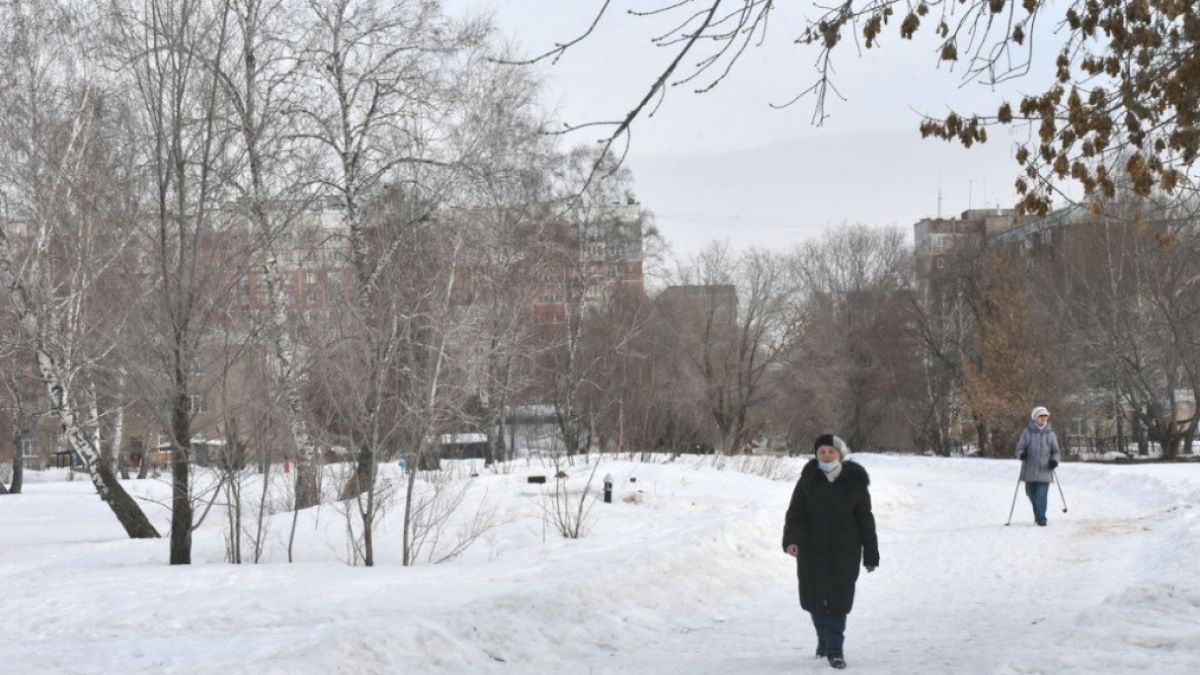 Мизюлинская роща