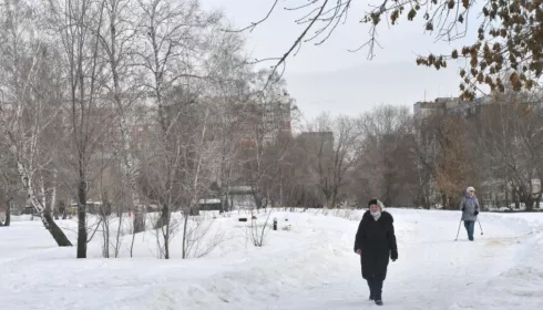 Власти Барнаула рассказали, что будет в Мизюлинской роще после благоустройства