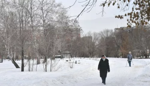 Власти Барнаула рассказали, что будет в Мизюлинской роще после благоустройства
