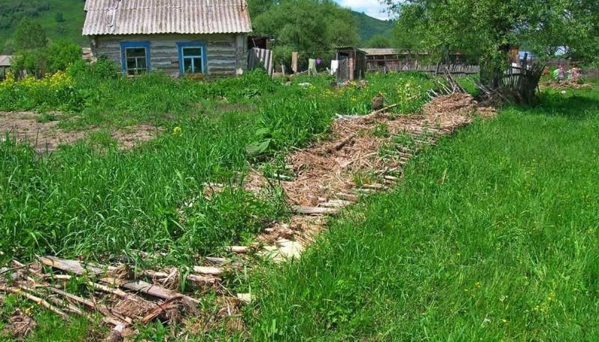 Погода село карпово алтайский край. Барсуково Алтайский край Солонешенский. Деревня Карпово Алтайский край Солонешенский район. Тумановская СОШ Солонешенский район Алтайский край. Туманово Алтайский край Солонешенский район школа.