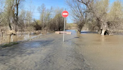 Из подъема уровня воды в Оби ограничили движение на дороге в барнаульском Затоне