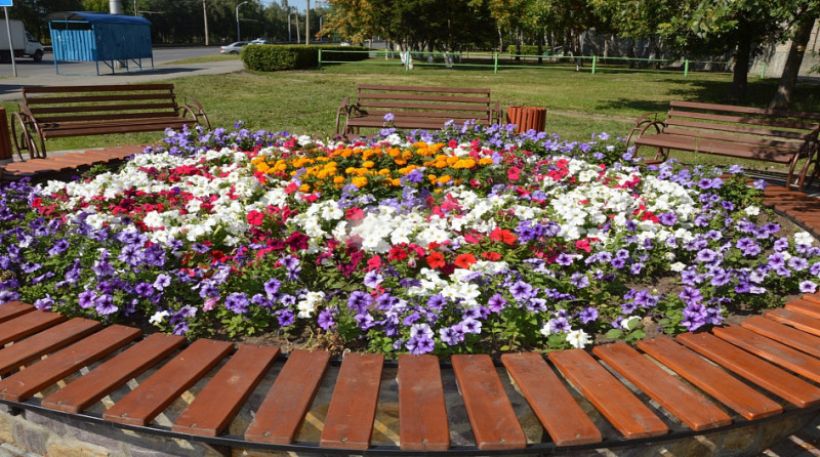  Фото:barnaul.org