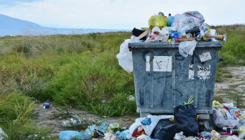 Алтайский край назвали отстающим по внедрению раздельного сбора мусора