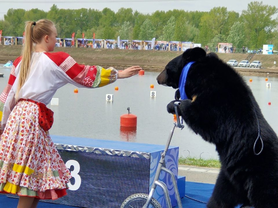 Медведь на церемонии открытия второго этапа Кубка мира по гребле на байдарках и каноэ