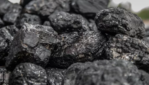 Алтайские прокуроры нашли ценовые нарушения в работе девяти поставщиков угля