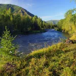 Подросток утонул в реке Чумыш в Алтайском крае