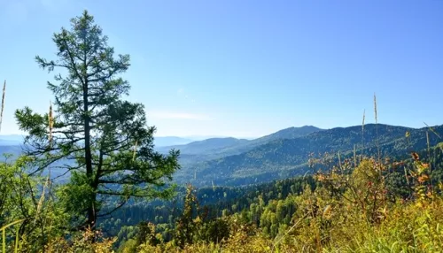 Третий в стране геопарк по требованиям ЮНЕСКО хотят создать вокруг Белокурихи