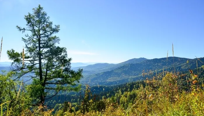 Третий в стране геопарк по требованиям ЮНЕСКО хотят создать вокруг Белокурихи