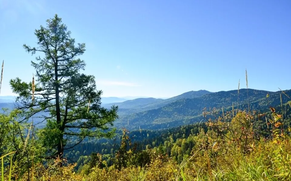 Третий в стране геопарк по требованиям ЮНЕСКО хотят создать вокруг Белокурихи