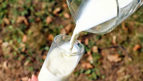 Алтайского предпринимателя осудят за поставку «поддельного» молока