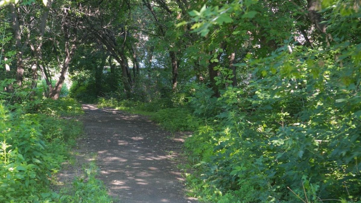 Сквер на Приречной, 16