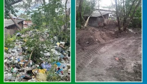 Бийские власти убрали свалку во дворе жилого дома после жалобы Путину