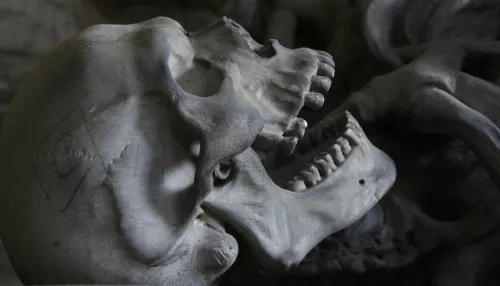 Человеческий скелет в кроссовках нашли грибники в Алтайском крае