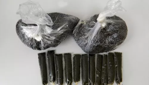 За губой чисто. Алтайская таможня пресекла ввоз 60 килограмм насвая