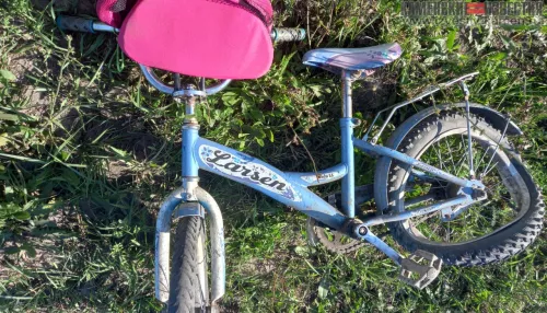 Уголовное дело против сбившего трех детей алтайского водителя ушло в суд